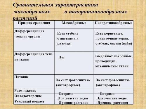 Ребята ЗАПОЛНИТЬ ТАБЛИЦУ