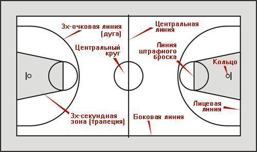 Баскетбольная площадка-нарисовать, написать название линий и зон в тетрадь