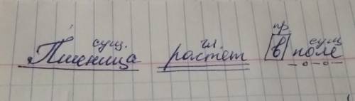 Пщеница растёт в поле разбери синтактическим разбором