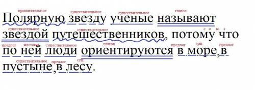 Сделать синтаксический разбор!Полярную звезду ученые называют звездой путешественников,потому что по