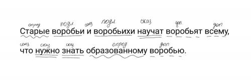 Старые воробьи и воробьихи научят воробьят всему, что нужно знать образованному воробьюсделайте синт