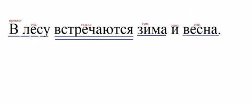 Синтакческий разбор предложения: В лесу встречаются зима и весна нужно