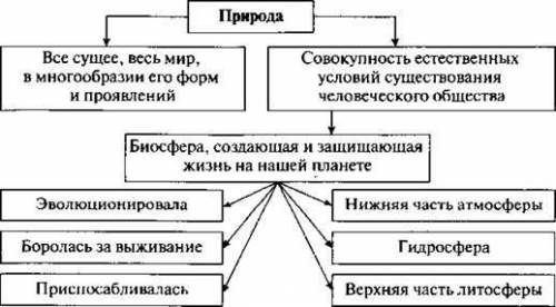 Схематично показать влияние человека на окружающую среду