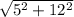 \sqrt{5^{2}+12^{2} }