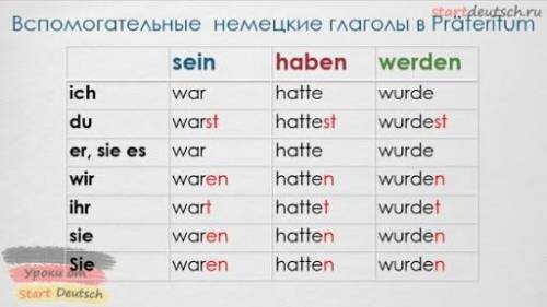 Прочитай предложения, определи, какой вс глагол потребуется для образования формы Plusquamperfekt 1.