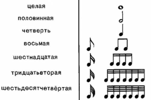 Укажите размер в котором доля равна восьмой длительности