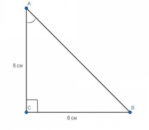 Дано прямокутний трикутник ABC, кут C=90°, катет АС=8см, катет ВС=6см, АВ-гіпотенуза. Знайти АВ, син
