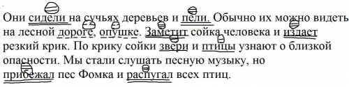 Найди в тексте лесные музыканты предложение с однокореным членами подчеркни их​