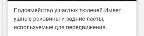 Кто из морских млекопитающих имеет ушные раковины? а) гренландский тюлень б) морской котик