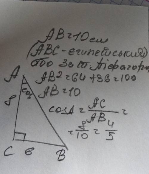 Дано прямокутний трикутник АВС де катети дорівнюють 8 см та 6 см знайти косинус кута трикутника прил