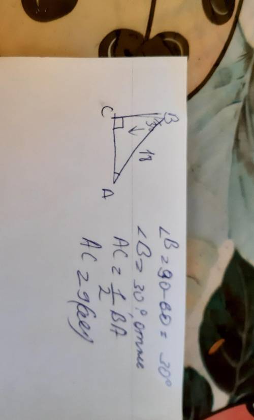 В треугольнике АВС угол С равен 90градусов, угол А равен 60градусов, АВ= 18 см. Найдите АС. ​