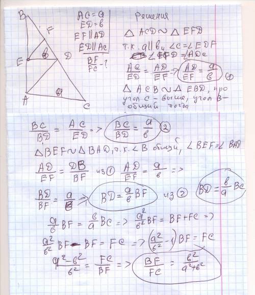 В ∆ ABC на сторонах AB и BC отмечены точки DEF так, что ED || AC, EF || AD. В каком отношении точка