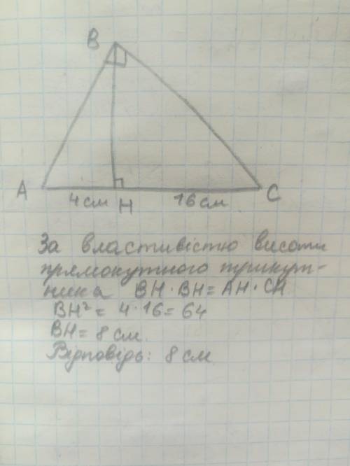 Проекція катетів на гіпотезу в прямокутнику дорівнюють 4 см і 16 см. Знайдіть довжину висоти, провед