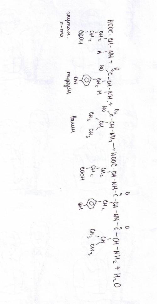 Приведите схему реакции получения трипептида из глутаминовой кислоты, тирозина и валина.