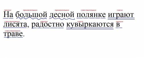 с русским молю! 20. Выполните языковые разборы. На большой лесной полянке(2) играют лисята(1), радос