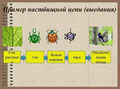 Пастбищная пищевпя цепь-это цепь...1.разложения2.выедания3.умножения​