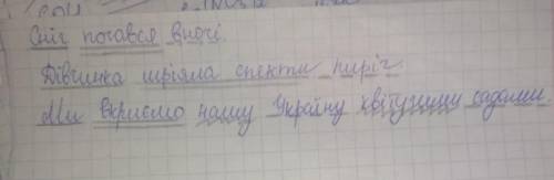 2 Підкресліть у реченнях головні та другорядні члени.Сні почався вночі. Дівчинка мріяла спекти пиріг