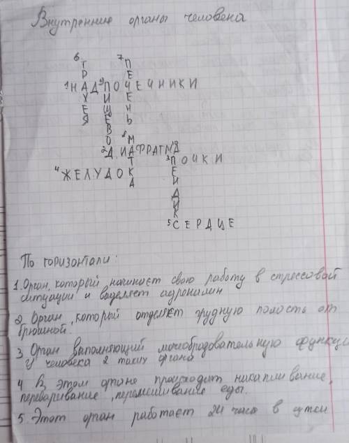 Кроссворд на тему внутренние органы человека не менее 10 во и ответов ​