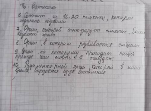 Кроссворд на тему внутренние органы человека не менее 10 во и ответов ​