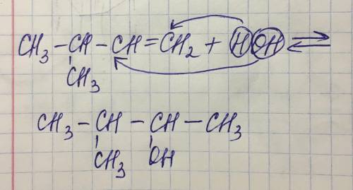 Ch3-ch(ch3)-ch=ch2+hoh