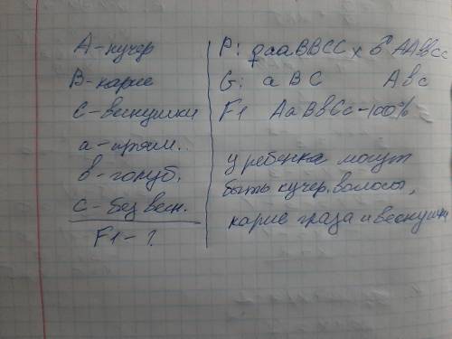 У человека кучерявые волосы доминируют над прямыми. Карие глаза доминируют над голубыми. Веснушки то