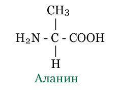 Допоміжіть будь ласка, всі хто не спить, і всі хто не байдужі) напишіть структурну формулу аланіл-гл