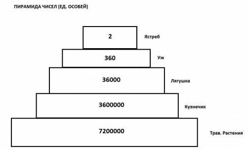 2-Зная правило перехода энергии с одного трофического уровня на другой и предполагая что организмы к