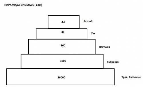 2-Зная правило перехода энергии с одного трофического уровня на другой и предполагая что организмы к