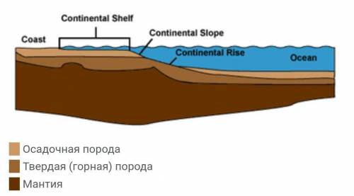 Какую роль сейчас играет шельф моря