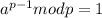 a^{p-1} mod p = 1