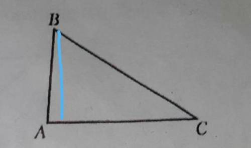 постройте высоту, опущенную на сторону АС. ​