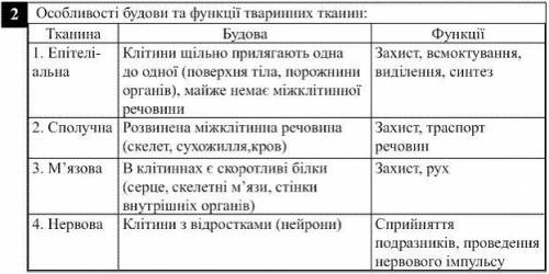 5. Як ви вважаете, чи існує зв'язок між будовою тканин та їх німи функціями? Свою відповідь обгрунту