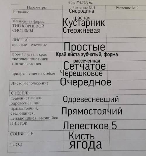 с биологией. Во вложении описаны критерии. Описать надо Красную смородину. Если не трудно, то ещё и