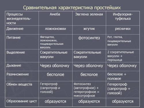 Таблица сравнительная характеристика основных групп простейших​