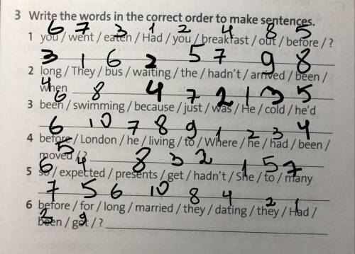 Write the words in the correct order to make sentences. 1) you / went / eaten / Had / you / breakfa