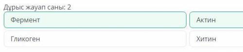 Жауаптарды тап. Нәруыздарға жатады:Дұрыс жауап саны: 2ФерментАктинГликогенХитин​