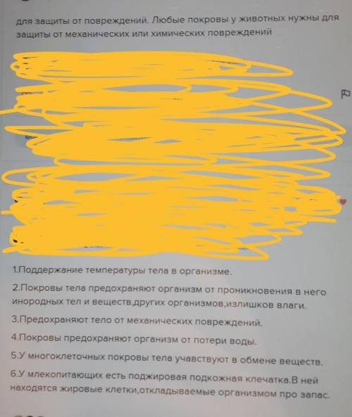 1. Для чего нужны покровы тела?2. Каково строение кожи хордовых животных?​