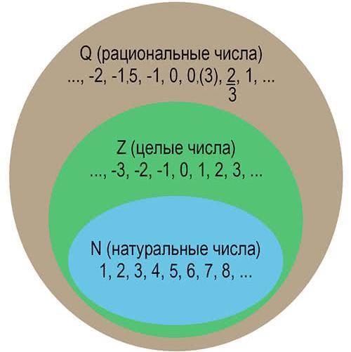 Является ли число -12 рациональным. ответ обоснуйте