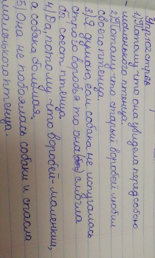 «Толстые вопросы 1. Почему собака уменьшила своишаги?2. Объясните, почему старый воробейбросился пте