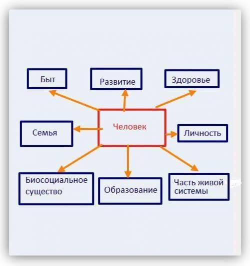 Составьте кластер со словом человек​