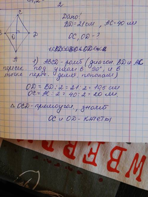 ано: BD=21 см;AC=40 см. Вычисли элементы прямоугольного треугольника OCD: стороныOCиOD. OC=?см; OD=?