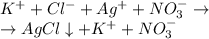 K^+ + Cl^- + Ag^+ + NO_3^- \to \\ \: \: \: \to AgCl \downarrow + K^+ + NO_3^-