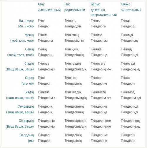 Тиін просклонять по падежам​