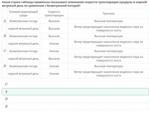 Какая строка таблицы правильно показывает изменение скорости транспирации кукурузы в жаркий ветреный