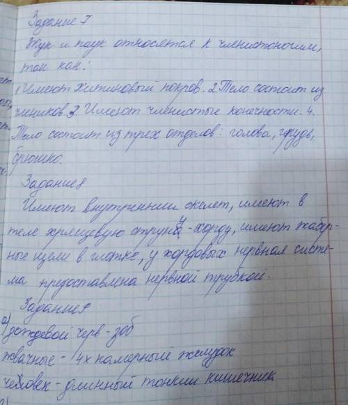 ЗАДАНИЯ СУММАТИВНОГО ОЦЕНИВАНИЯ за 1 четверть по предмету «Биология» 1. На рисунке изображены клетки