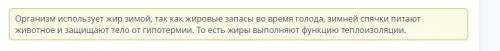 медведи откладывают жир в теле чтобы быть готовыми к зимней спячке определи значение жира для медвед