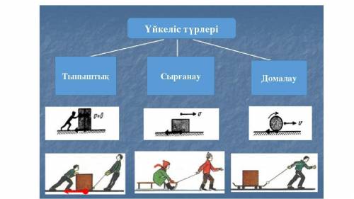 Уикелис кушинин турлерипомагите​