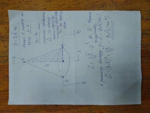 Висота конуса дорівнює 2√3 см. Знайдіть площу осьового перерізу конуса, якщо вона є правильним трику