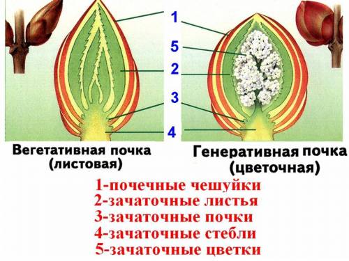 Подписать люди добрые 6 класс