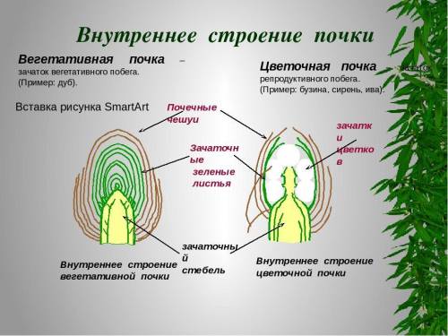 Подписать люди добрые 6 класс